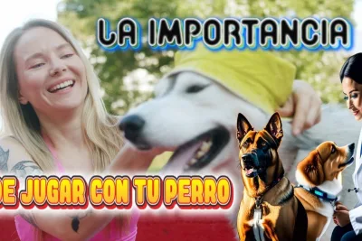 La importancia de jugar con tu perro