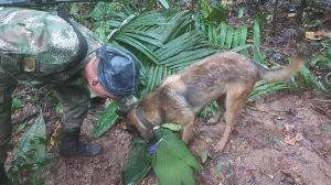 operaciones de rescate