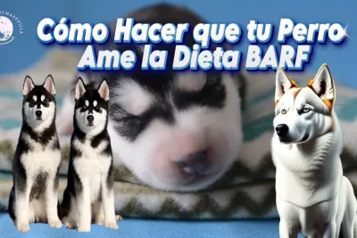 Como Hacer que tu Perro Ame la Dieta BARF