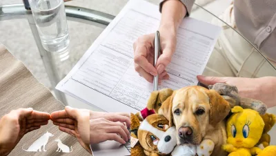 El seguro de salud para perros y gatos mas completo y confiable en Espana