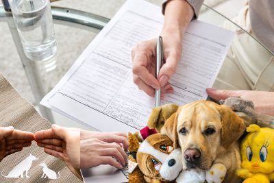 El seguro de salud para perros y gatos mas completo y confiable en Espana