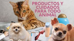 productos y cuidados para todo animal