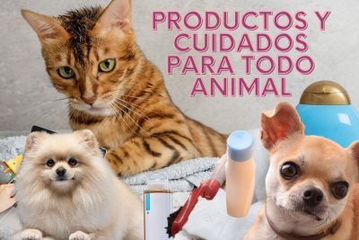 productos y cuidados para todo animal