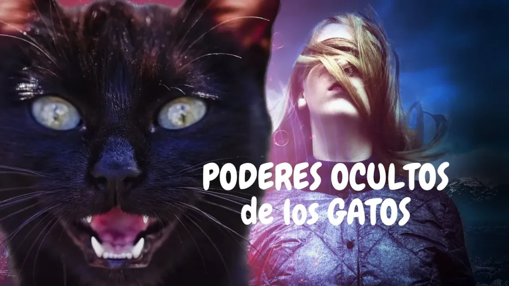 PODERES OCULTOS de los GATOS jpg