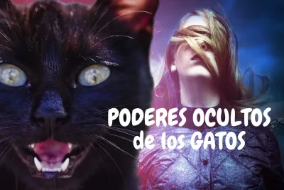 PODERES OCULTOS de los GATOS jpg