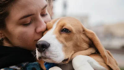 razas de perros 3 jpg