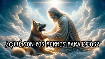 Que son los perros para Dios jpg