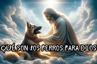 Que son los perros para Dios jpg