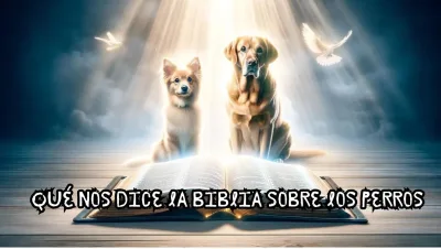 la Biblia sobre los perros jpg