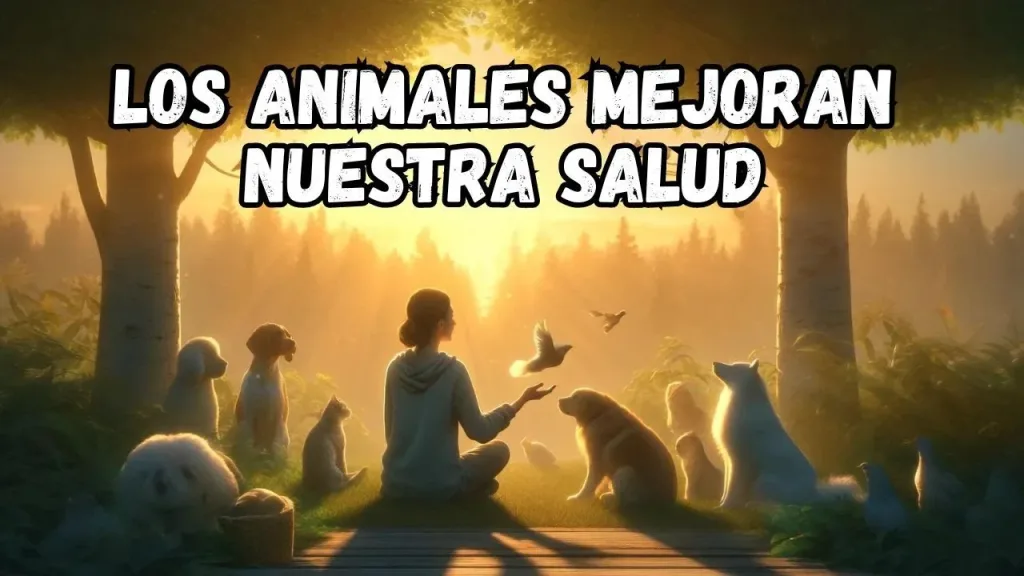 Como los Animales Mejoran Nuestra Salud Mental jpg