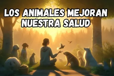 Como los Animales Mejoran Nuestra Salud Mental jpg