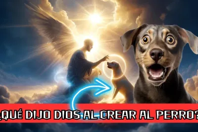 Que dijo Dios al crear al perro jpg