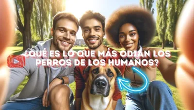 Que es lo que mas odian los perros de los humanos jpg