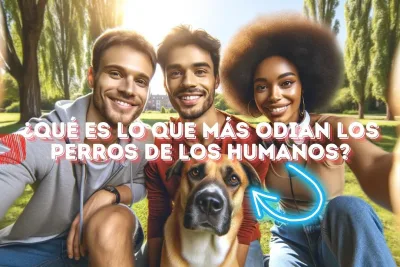 Que es lo que mas odian los perros de los humanos jpg